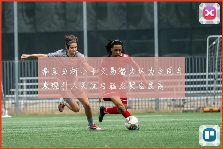 弗莱分析小卡交易潜力认为合同年表现引人关注与猛龙契合度高