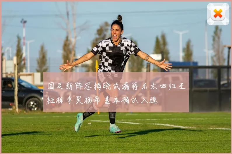 国足新阵容揭晓武磊蒋光太回归王钰栋李昊杨希基本确认入选